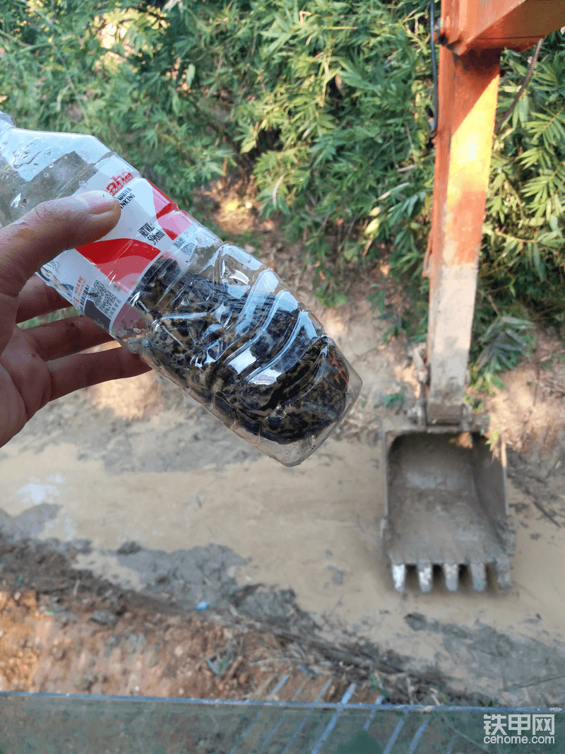 田雞??有手掌印大   工具沒(méi)配好袋子，水桶 …… 只能拿礦泉水瓶來(lái)將就了    乖乖聽(tīng)話(huà)  別跑了