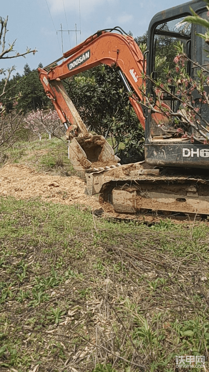 挖機(jī)在桃花林中行走