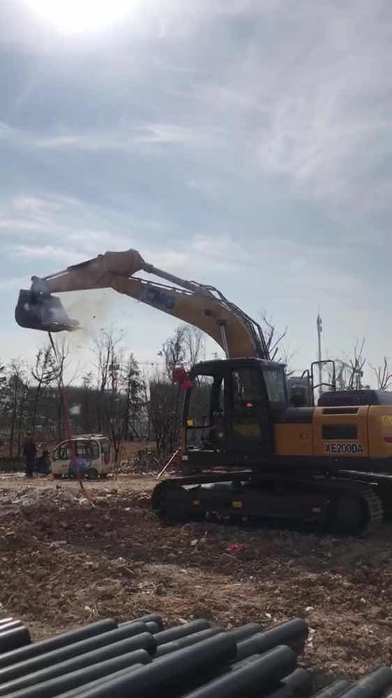 去年沒抓住雞會，今年希望走個狗屎運