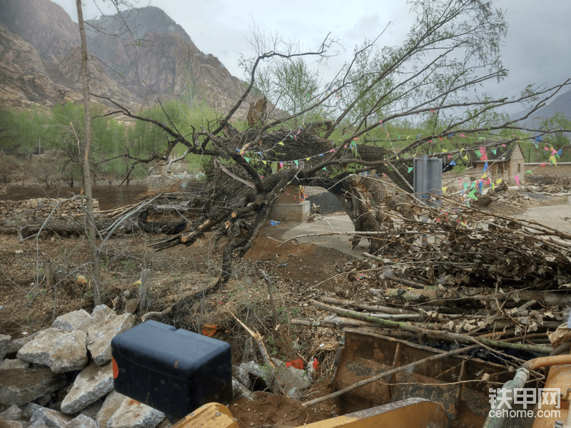 這幾天在工地干活 這顆大柳樹真的很大 可惜雷劈倒了 但是還活著 下邊還有一個小廟 這工地不錯 端水泥 石頭 工人壘墻 活挺輕快的 有很多閑暇時間  我就要開始研究了 直接前往馬云家 買買買..........