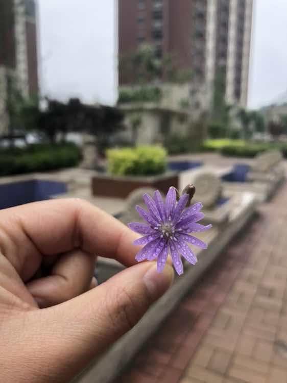 又下雨了，还好不是暴风雨