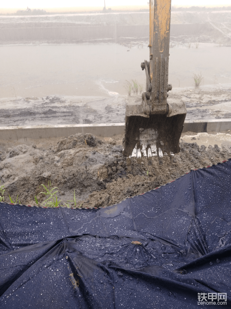 没雨刮器-帖子图片