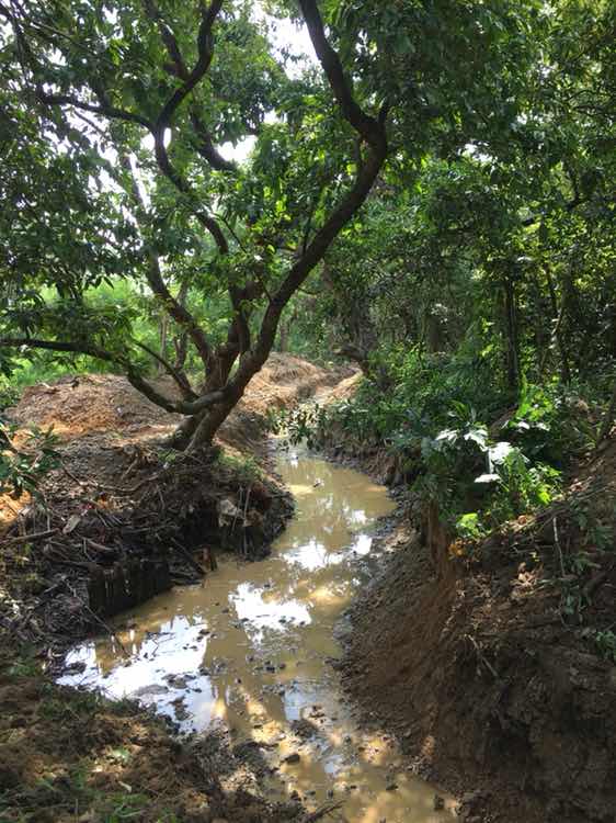 清理水沟