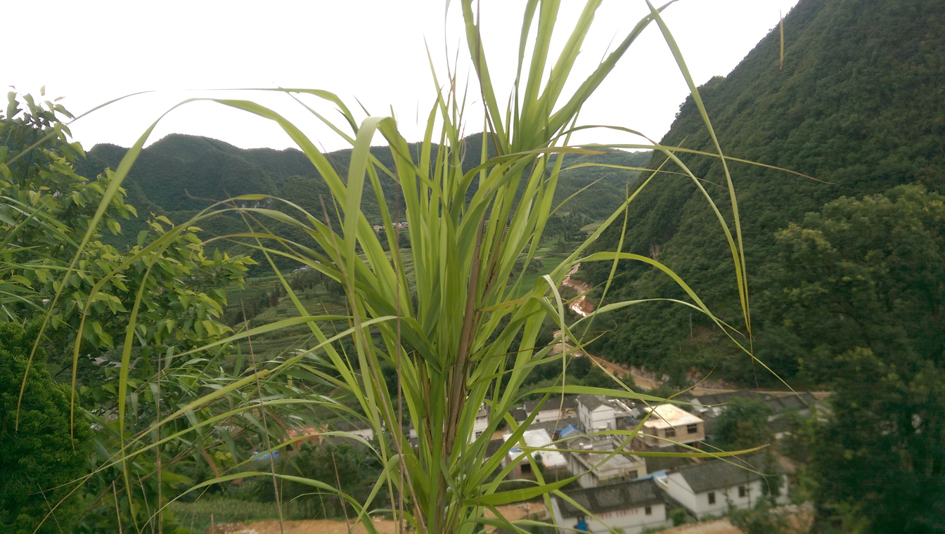 萬水千山總是情