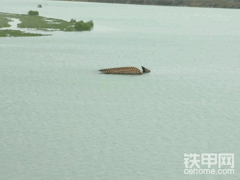 常在河边走哪有不湿鞋的