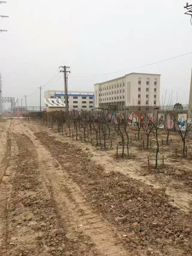 13年挖機(jī)路(3)：1年花了700塊，學(xué)徒1月給600塊