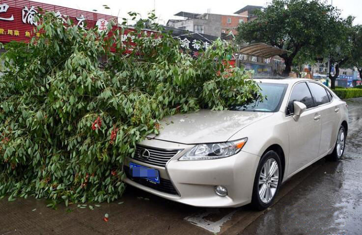 【每周話題】雨水季節(jié)如何有效預(yù)、防快速救援你的設(shè)備？