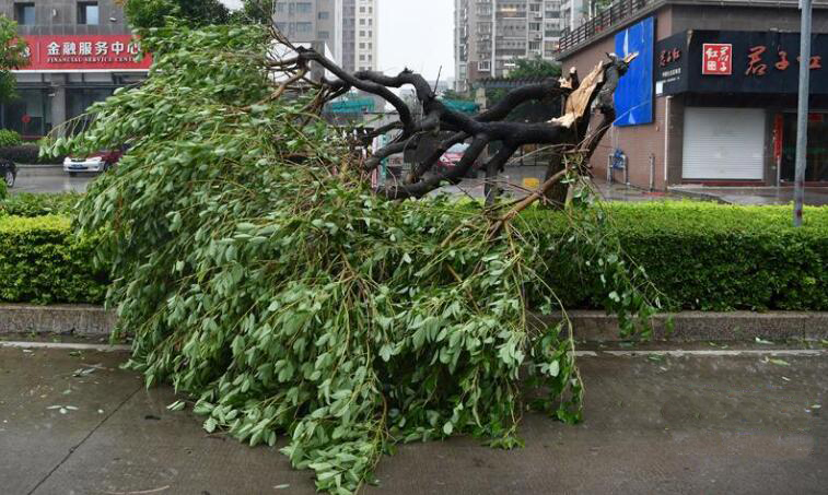 【每周話題】雨水季節(jié)如何有效預(yù)、防快速救援你的設(shè)備？