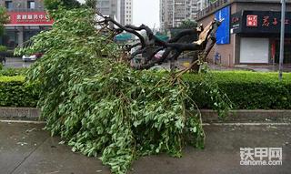 【每周话题】雨水季节如何有效预、防快速救援你的设备？