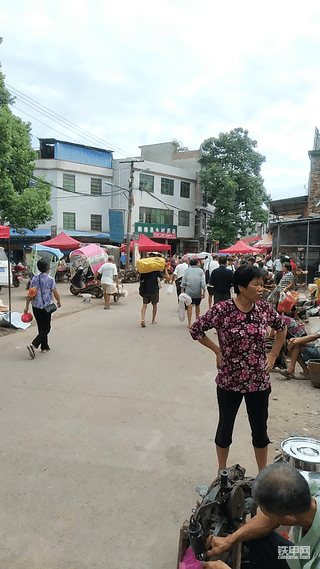 【我的铁甲日记第2天】换个山头除草，4128小时了！