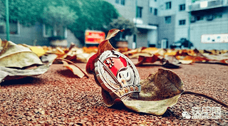 【致敬最可爱的人】兵哥哥