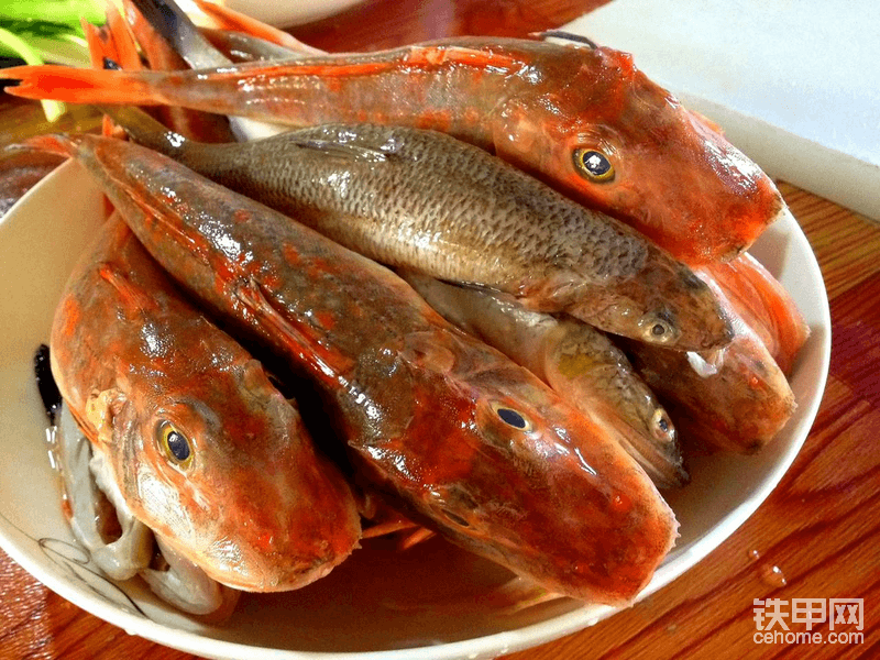 海邊漁民手上買的魚