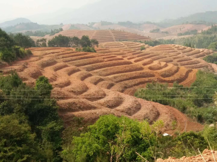 荒山土地开荒，多少吨位合适？求助