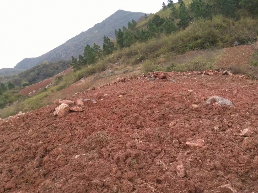 荒山土地开荒，多少吨位合适？求助