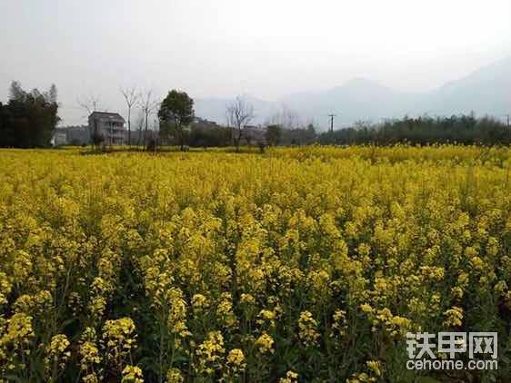 工地旁边的小村庄，此刻只想再回去走一趟，再遇到他们……