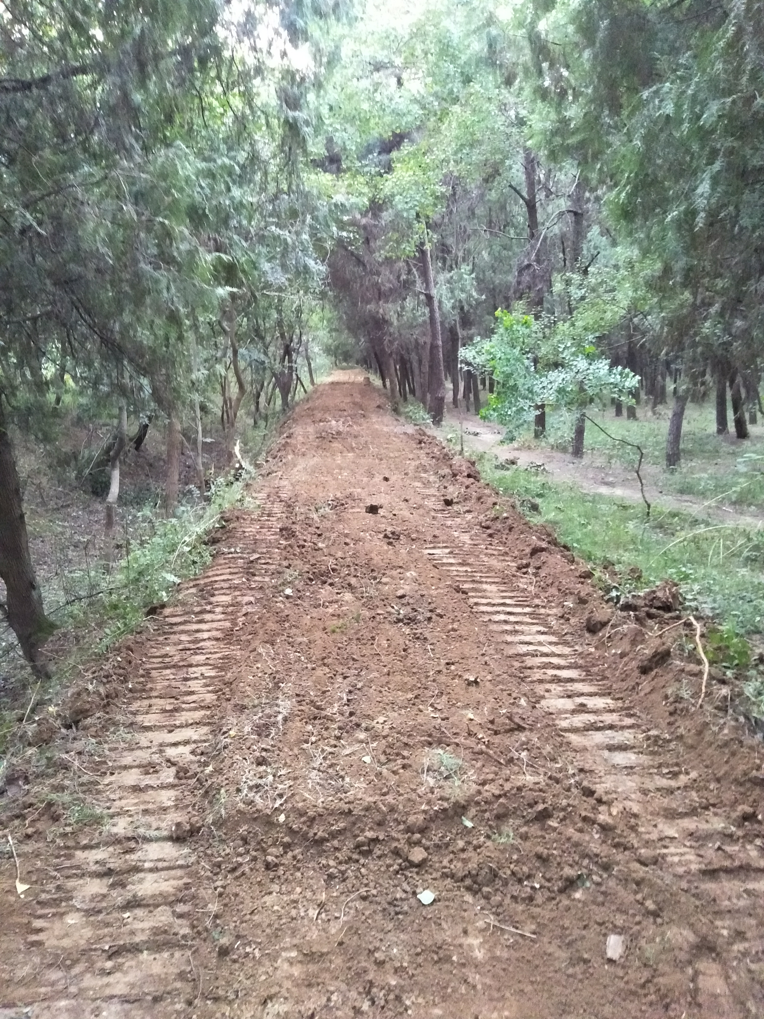 為約會圣地修條路