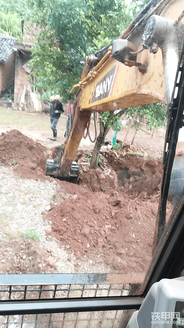 移栽桂花樹先把樹周圍挖空