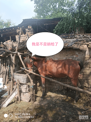 国庆这个大喜日子里，是你过不去的坎