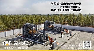 实干家们引爆赛场！卡特彼勒即将有大事件发生？猜猜是什么？