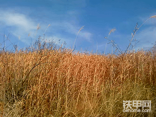 【被盗经历】那些年遇到过匪夷所思的被盗经历