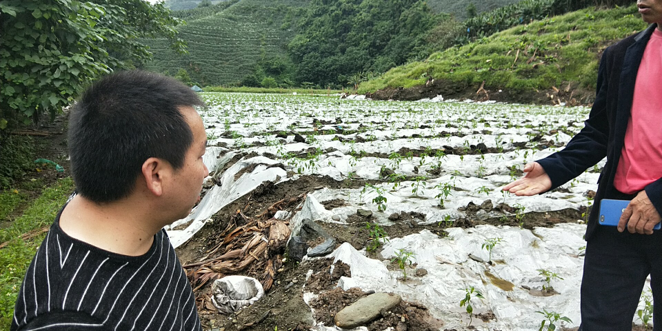 一天下雨搞毛線