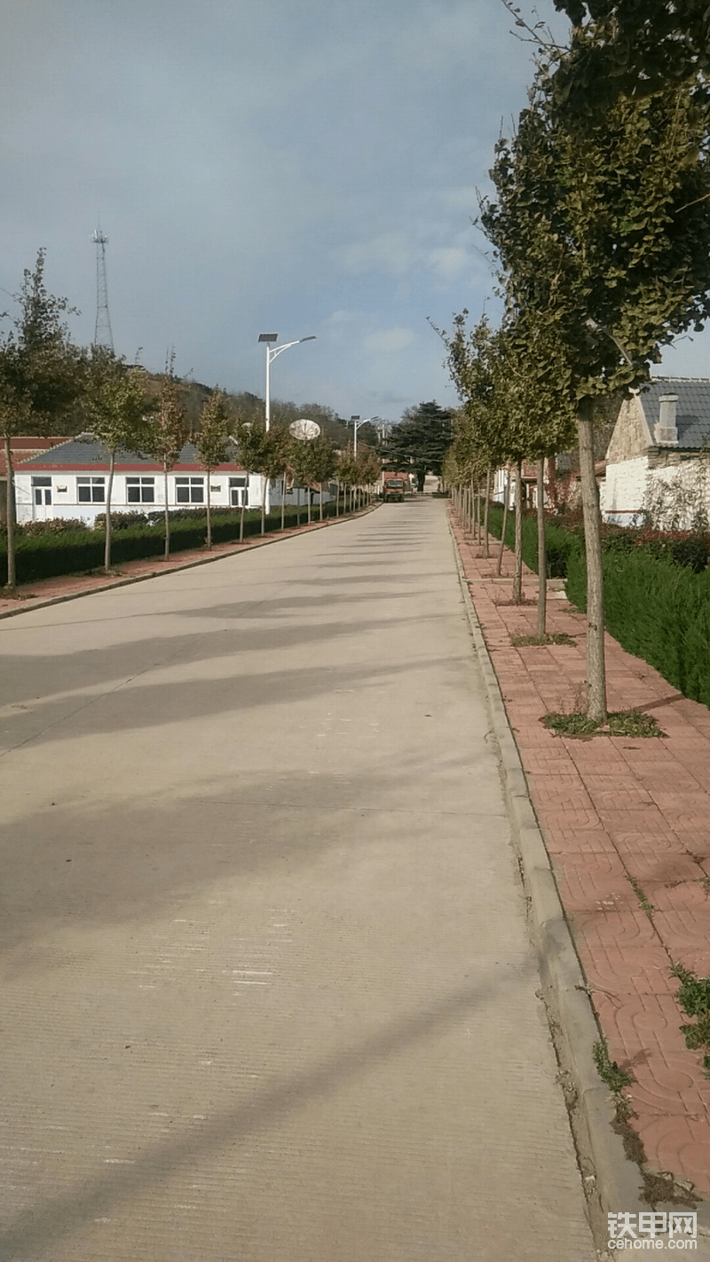岛国的街道