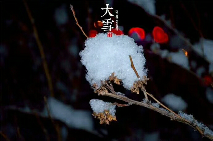 【我的鐵甲日記第468天】今日大雪，冷