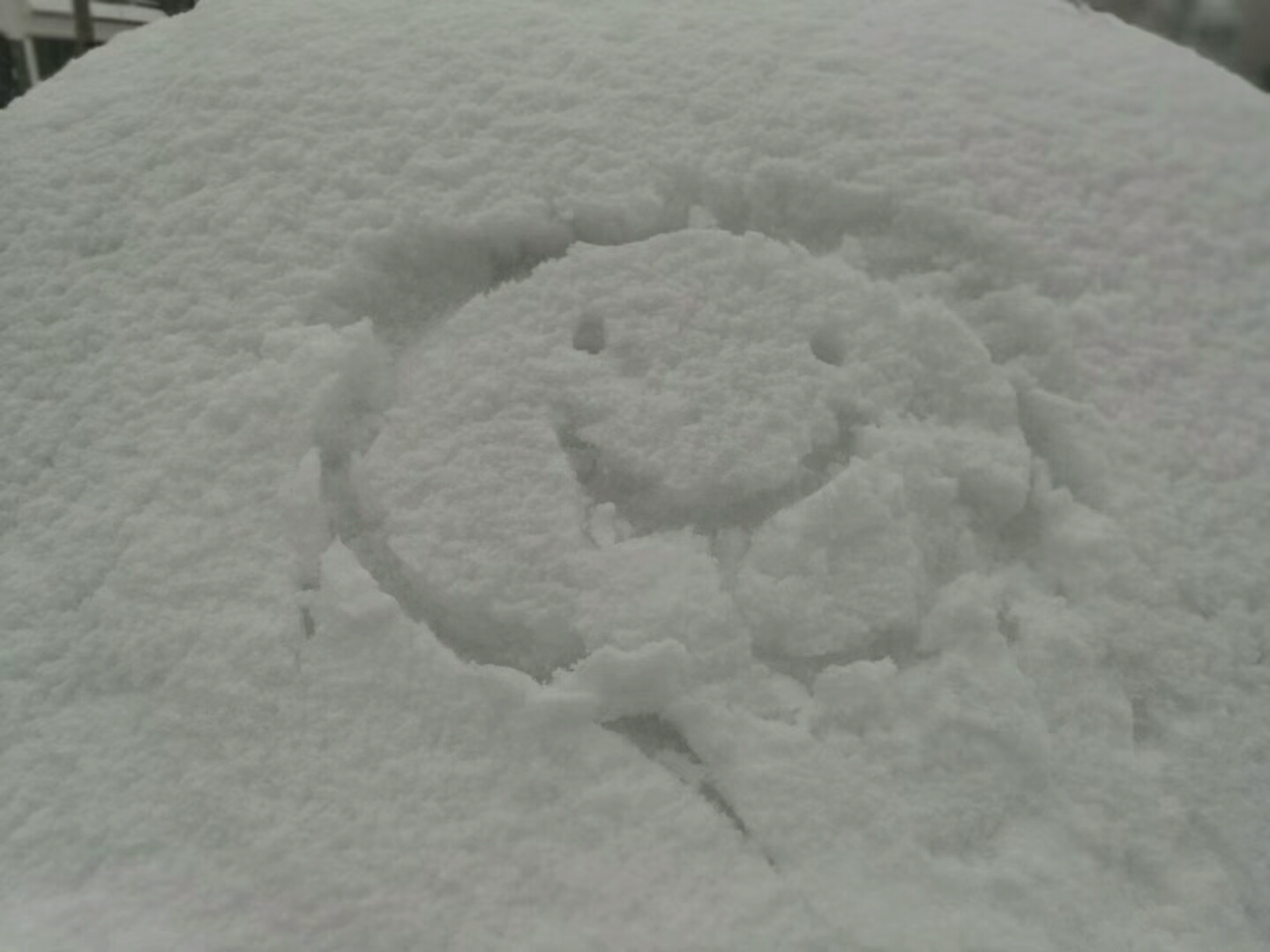 老鐵們看看美麗的雪景吧