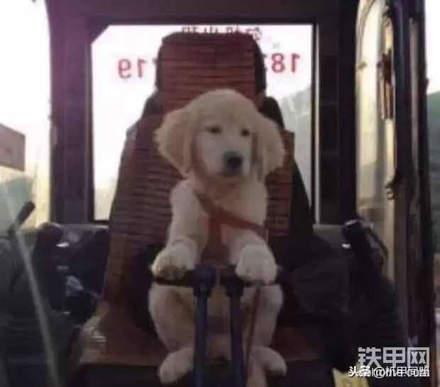 3：憋死<img class="smiley" src="/img/smiley/new/tiejia56.gif"> 一天到晚坐駕駛室里，連個(gè)說話的人都沒有，歡喜無人享，憂愁無人訴，能把人憋死！