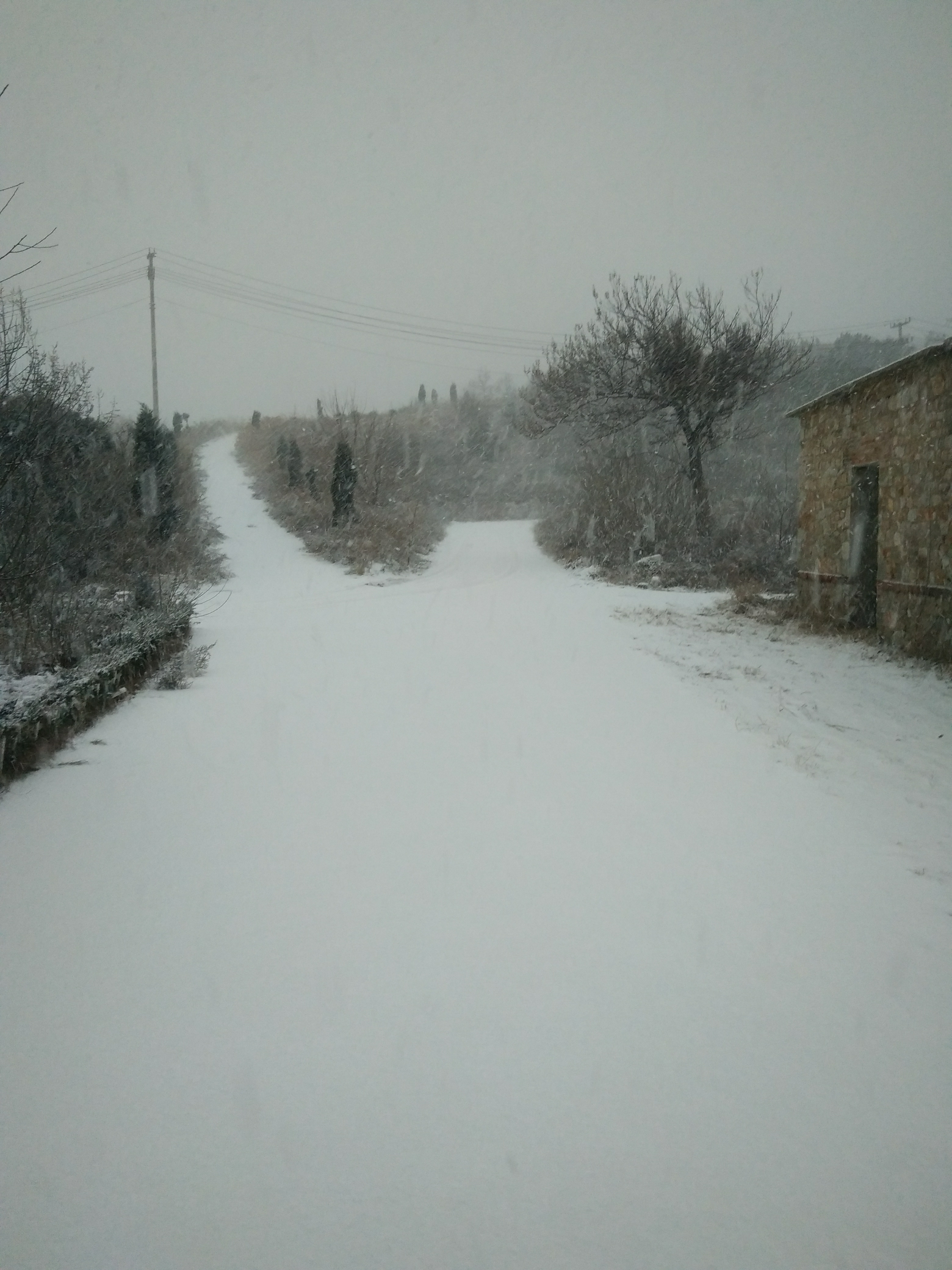 老鐵們早上好又下雪了