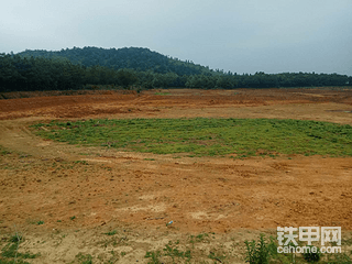 【我的这一年】平淡显真