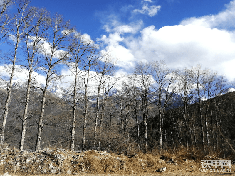 路上开累了就下来拍拍照片，欣赏一下沿途的美景。