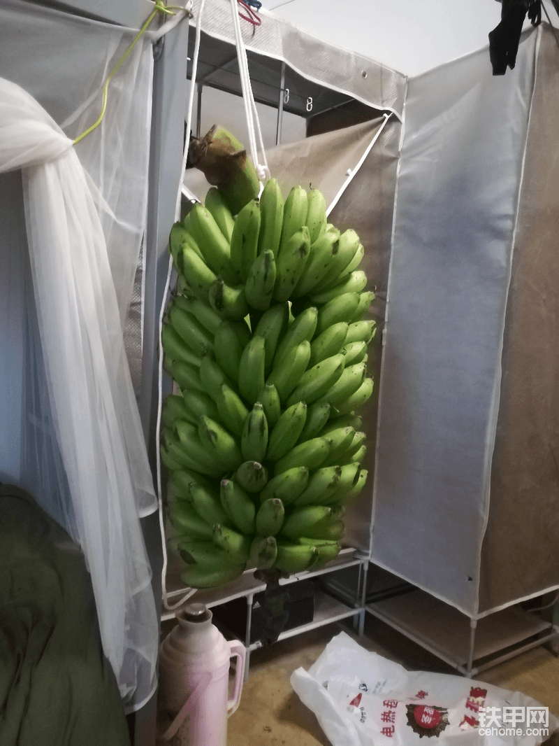在当地买的香蕉，