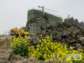 93年小伙一年平均2500小時(shí)，穩(wěn)賺20萬(wàn)，他卻回鄉(xiāng)發(fā)展