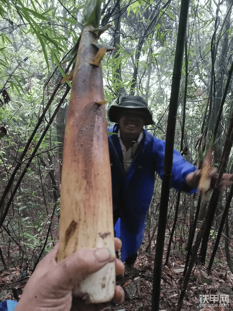 沒長高，用鋤頭挖，累啊