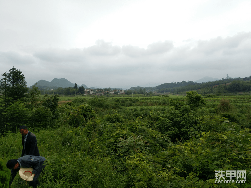 風(fēng)景還算可以