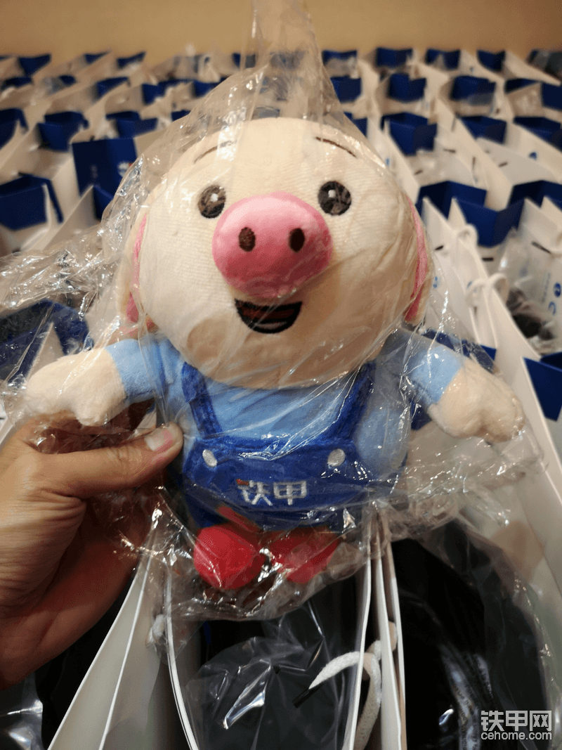 猪年吉祥物
