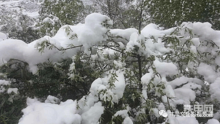五月天下雪了