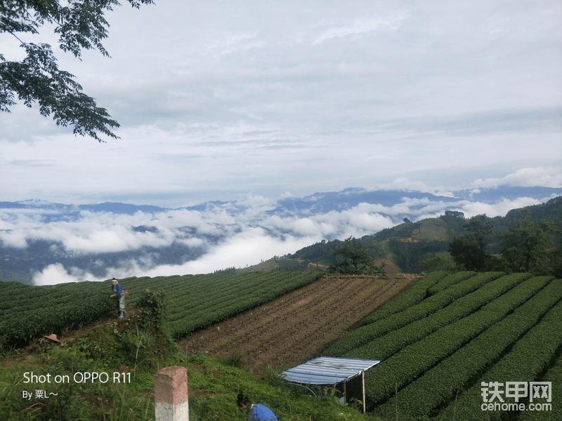 来个风景照