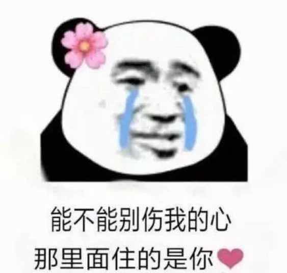 找挖机开啊