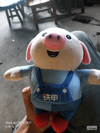 小豬豬到啦
