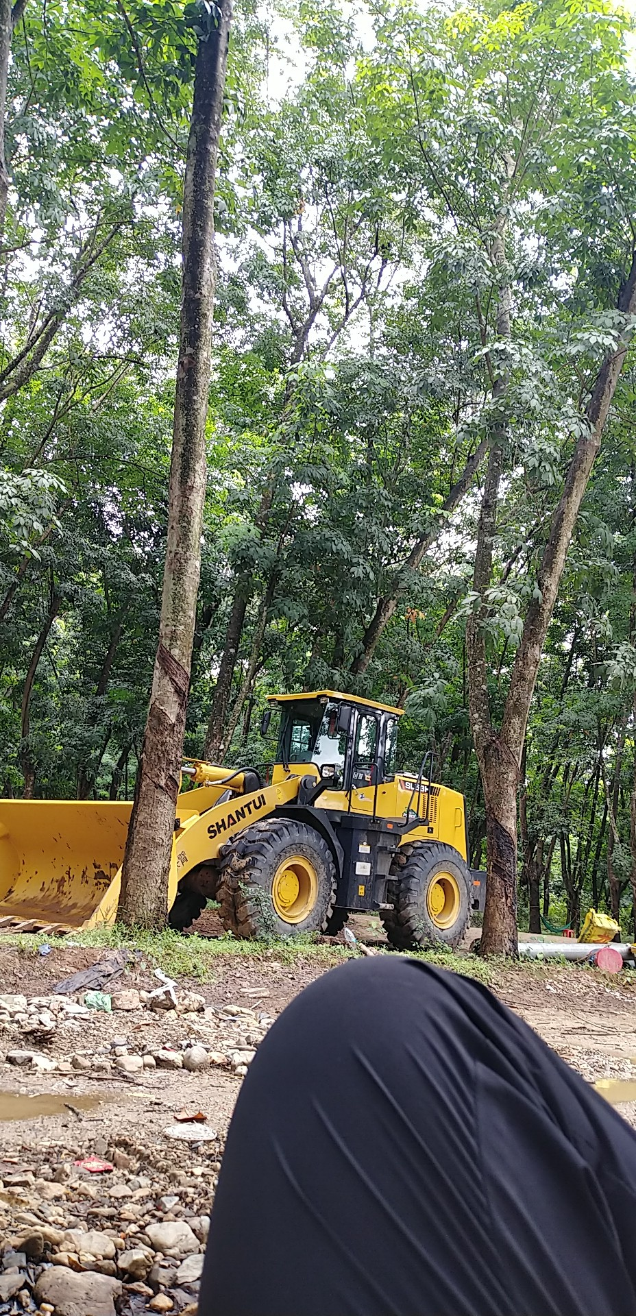 山推SL53H裝載機