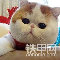 国产机哪个好
