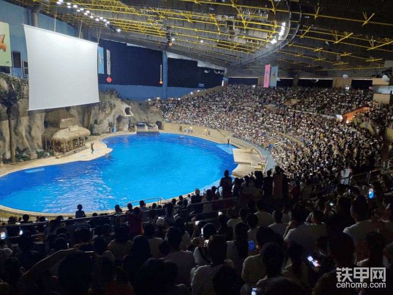 海豚🐬表演，观众又是人山人海