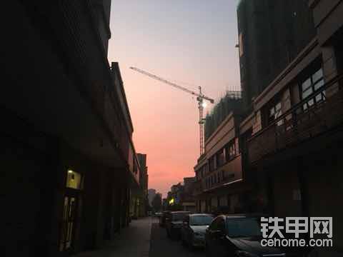 早起的蟲兒被鳥吃