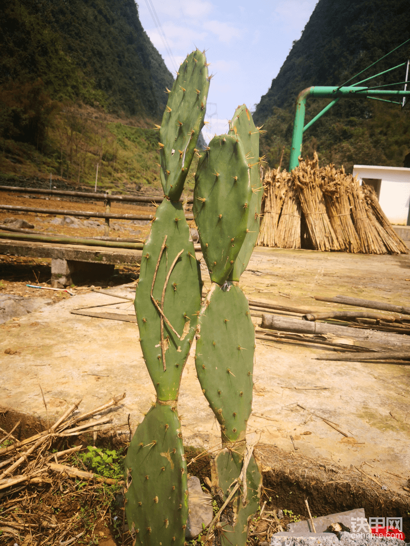 十年的QQ情人，如煙如霧，我們離得很近，卻隔得很遠(yuǎn)，謝謝你陪我那段時(shí)間，我們找尋我們傾訴，希望見面，卻害怕互相傷害，最后不顧一切來相會(huì)，卻是上天注定無緣相見！你在我單獨(dú)的相冊(cè)里……