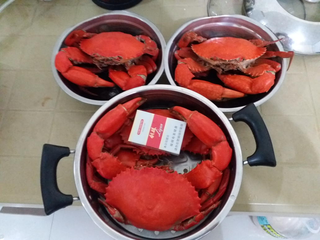 菲律賓大青蟹