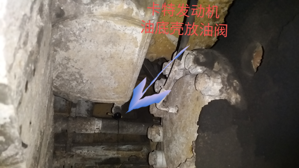 【國慶打卡第四天】猶如琵琶半遮面
