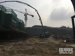【国庆打卡第五天】早起的虫子被鸟吃