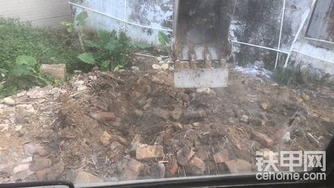 廣東江門60挖掘機(jī)招人
